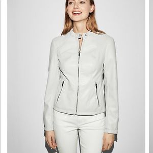 Double Perplum (minus the leather) Jacket